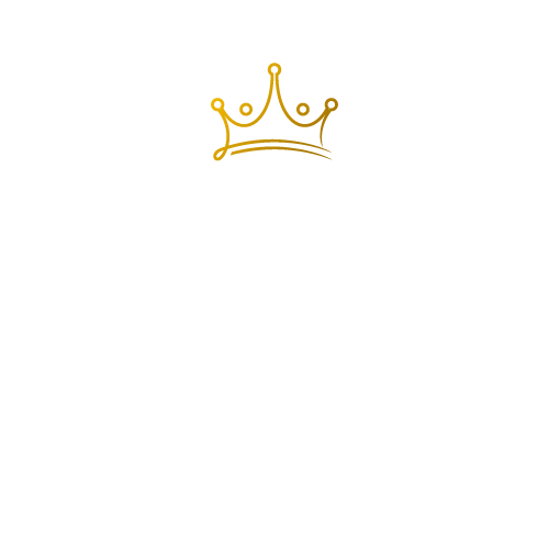 wordpress spezialist